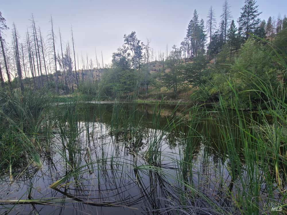 Detail Gallery Image 42 of 44 For 41390 Mendocino Pass Rd, Covelo,  CA 95428 - 1 Beds | 1 Baths