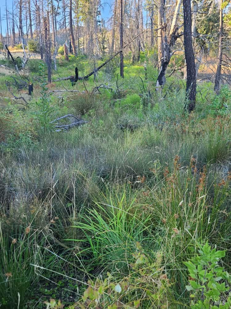 Detail Gallery Image 37 of 44 For 41390 Mendocino Pass Rd, Covelo,  CA 95428 - 1 Beds | 1 Baths