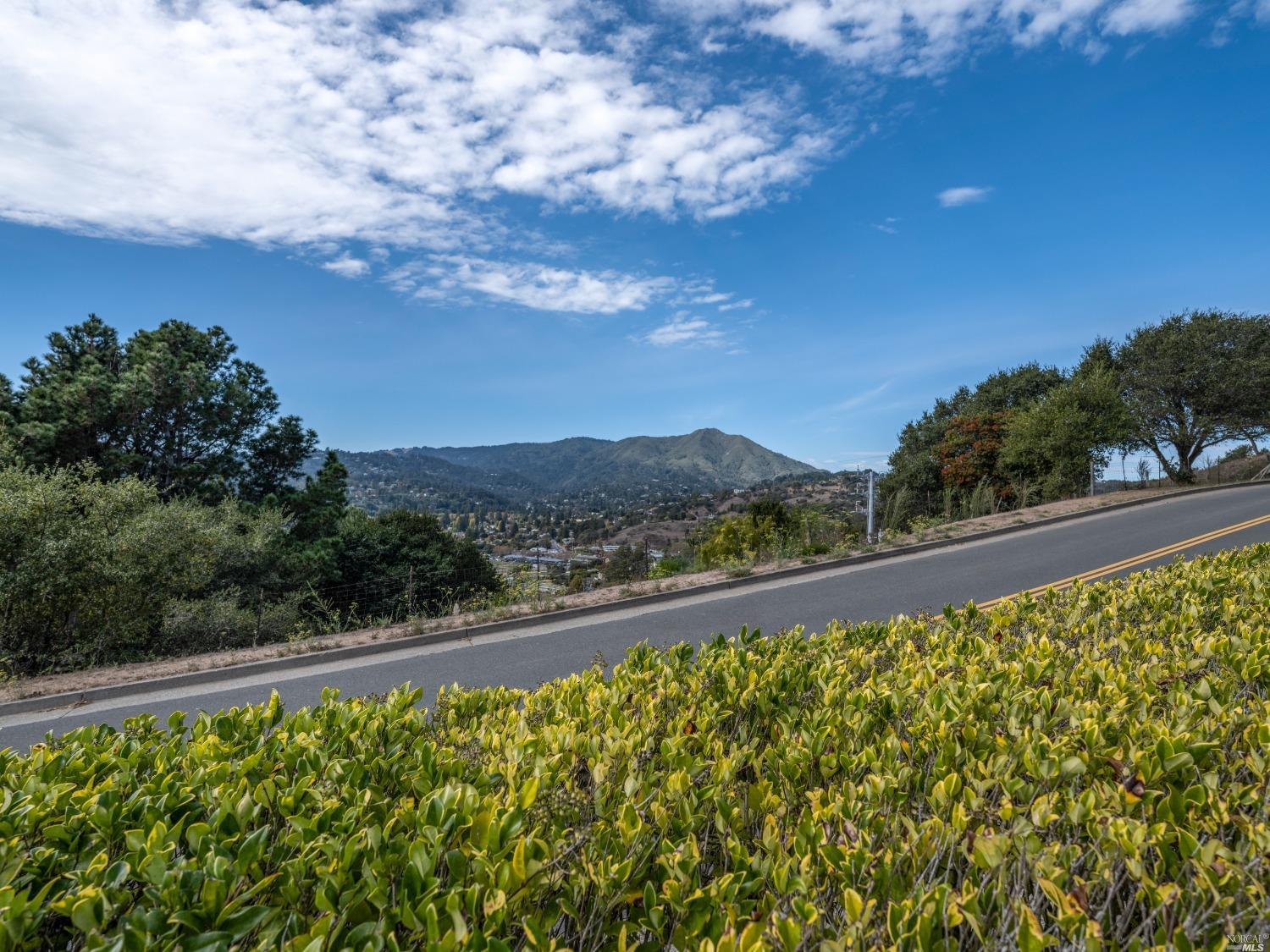 Detail Gallery Image 33 of 33 For 554 Seaver Dr, Mill Valley,  CA 94941 - 1 Beds | 1 Baths