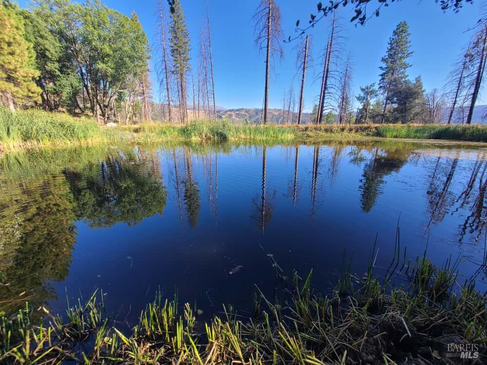 Detail Gallery Image 7 of 44 For 41390 Mendocino Pass Rd, Covelo,  CA 95428 - 1 Beds | 1 Baths