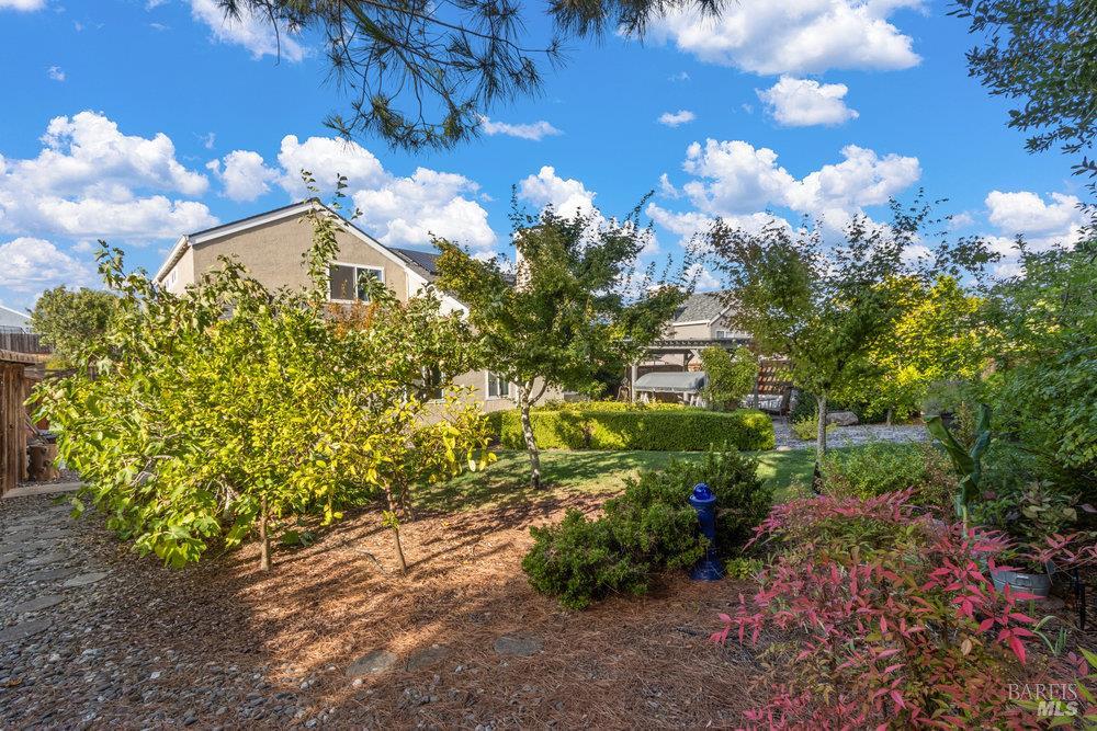 Detail Gallery Image 33 of 53 For 564 Rose Dr, Benicia,  CA 94510 - 3 Beds | 2 Baths