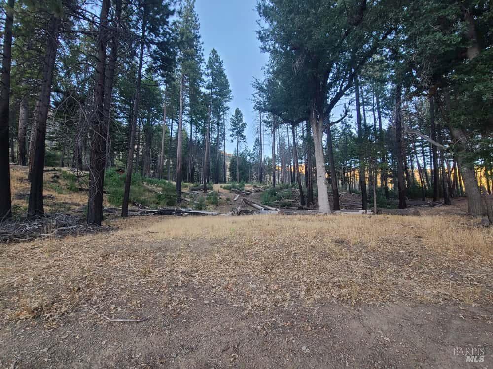 Detail Gallery Image 41 of 44 For 41390 Mendocino Pass Rd, Covelo,  CA 95428 - 1 Beds | 1 Baths