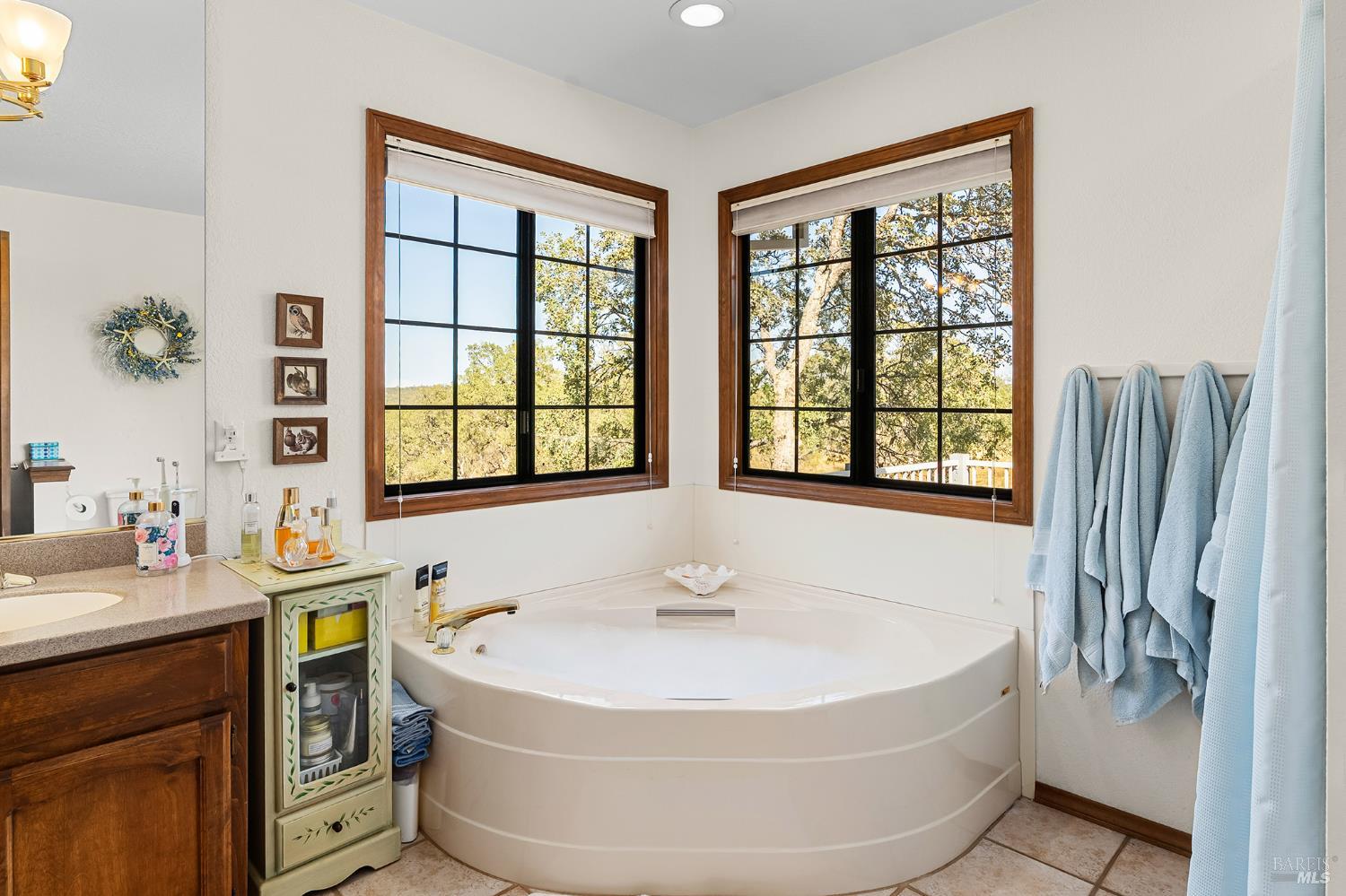 Detail Gallery Image 25 of 52 For 14420 Mesa Ct, Red Bluff,  CA 96080 - 3 Beds | 2 Baths