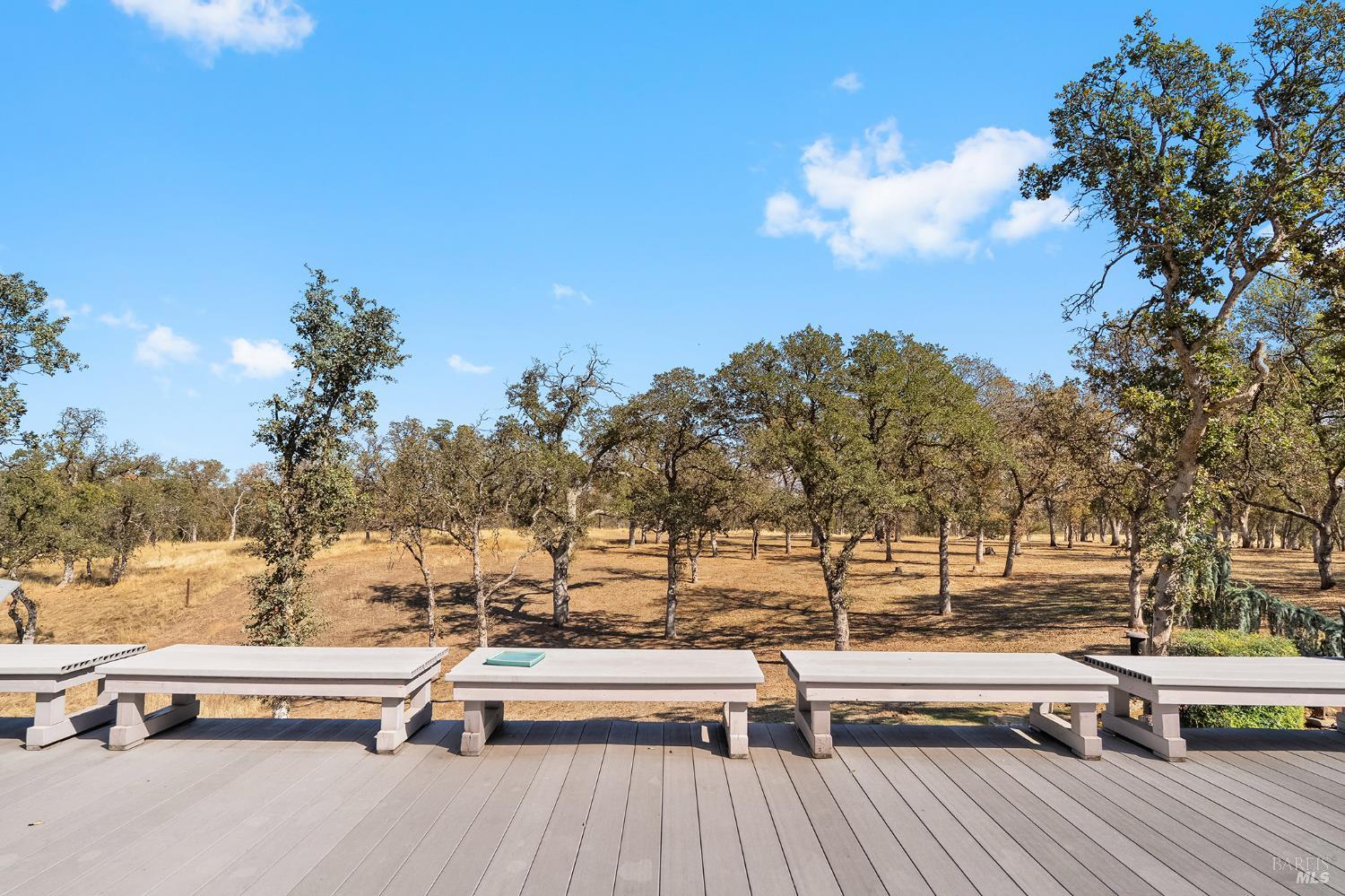 Detail Gallery Image 39 of 52 For 14420 Mesa Ct, Red Bluff,  CA 96080 - 3 Beds | 2 Baths