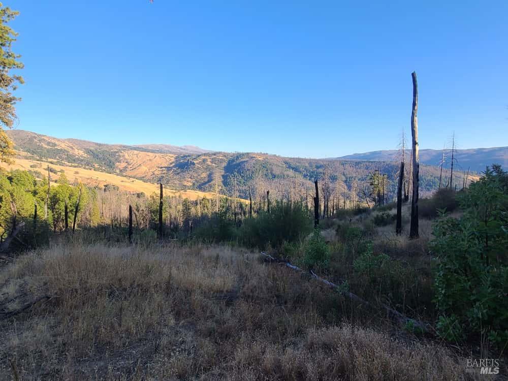 Detail Gallery Image 35 of 44 For 41390 Mendocino Pass Rd, Covelo,  CA 95428 - 1 Beds | 1 Baths