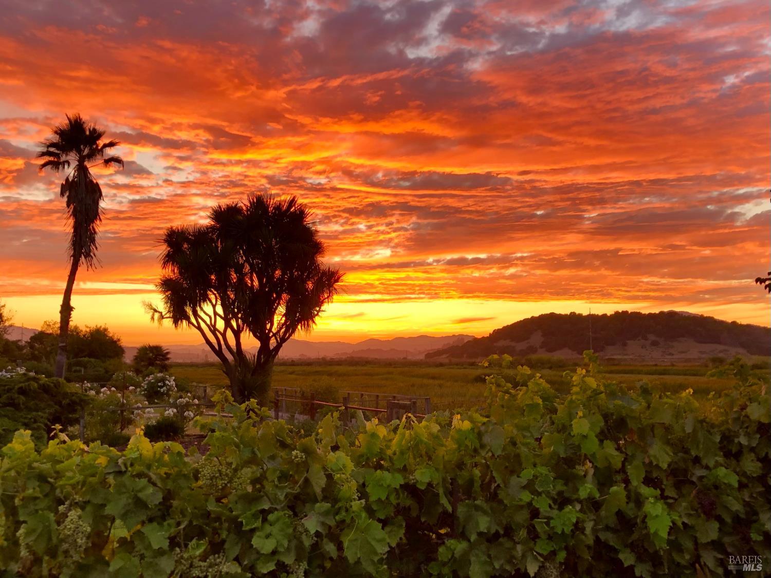 Detail Gallery Image 27 of 28 For 133 Montego Key, Novato,  CA 94949 - 3 Beds | 3 Baths