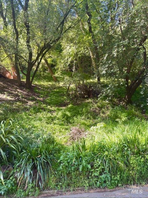 Detail Gallery Image 2 of 13 For 67 Tamalpias Ave, Fairfax,  CA 94930 - – Beds | – Baths