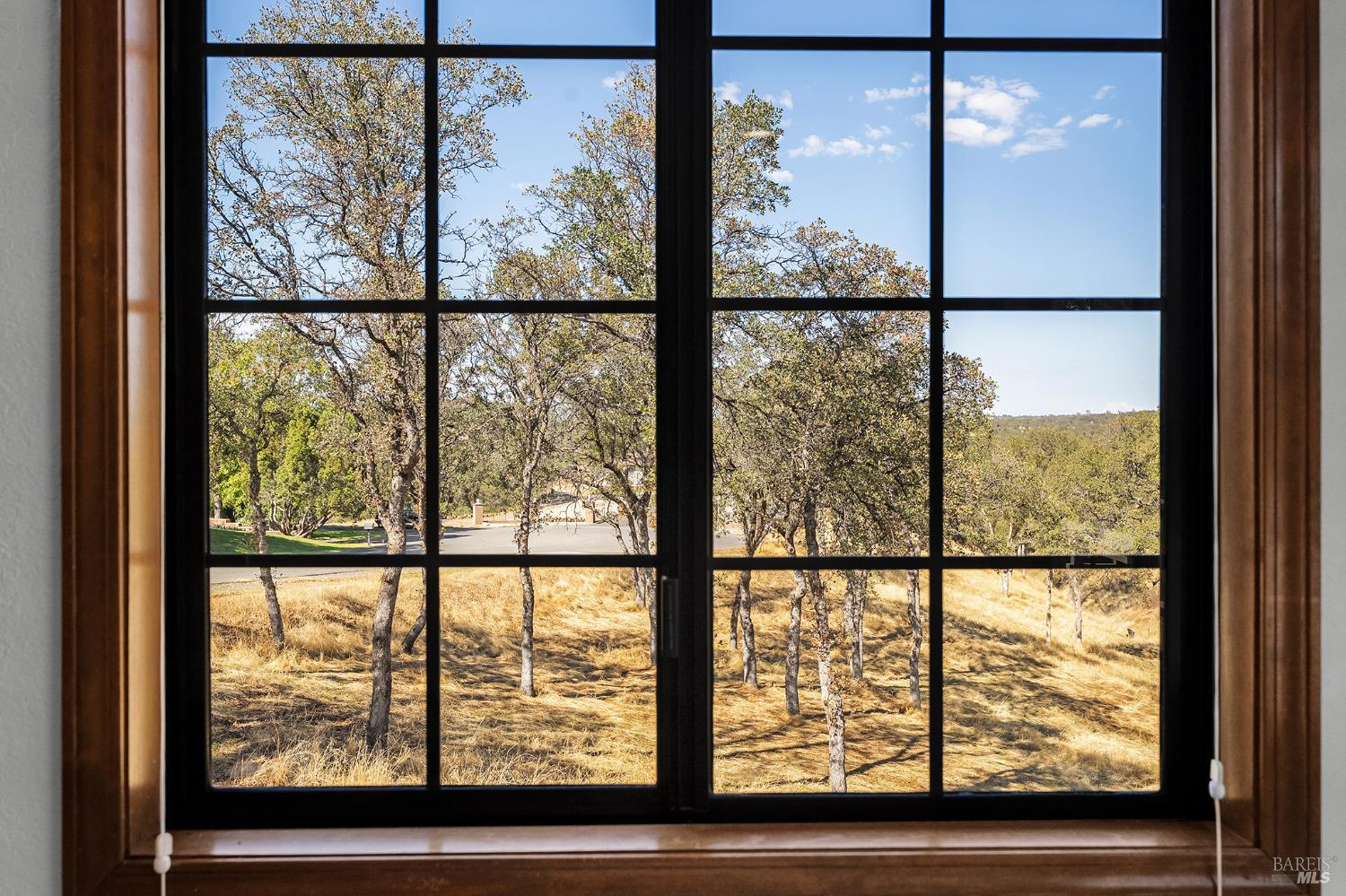 Detail Gallery Image 27 of 52 For 14420 Mesa Ct, Red Bluff,  CA 96080 - 3 Beds | 2 Baths