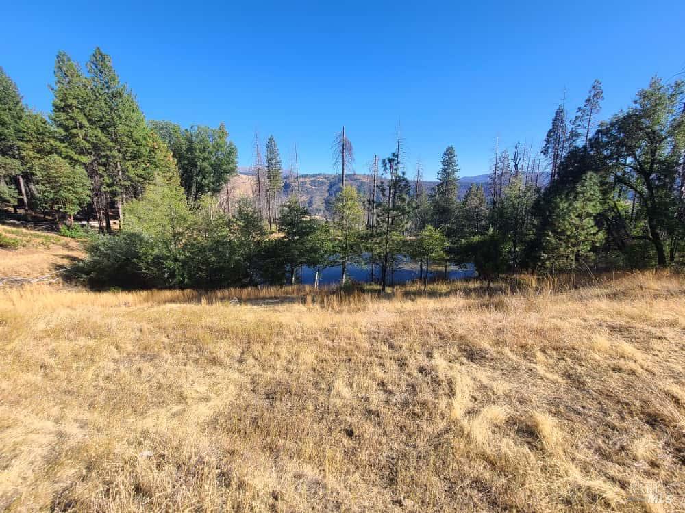 Detail Gallery Image 5 of 44 For 41390 Mendocino Pass Rd, Covelo,  CA 95428 - 1 Beds | 1 Baths