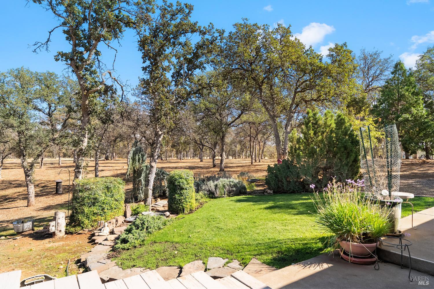 Detail Gallery Image 37 of 52 For 14420 Mesa Ct, Red Bluff,  CA 96080 - 3 Beds | 2 Baths