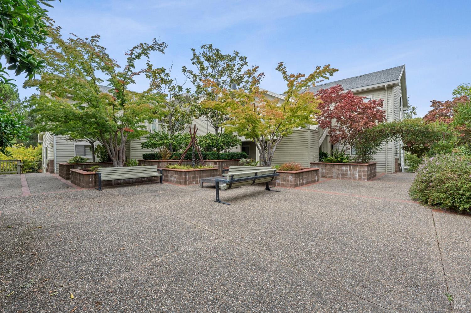 Detail Gallery Image 45 of 54 For 121 Eucalyptus Knoll St, Mill Valley,  CA 94941 - 2 Beds | 2 Baths