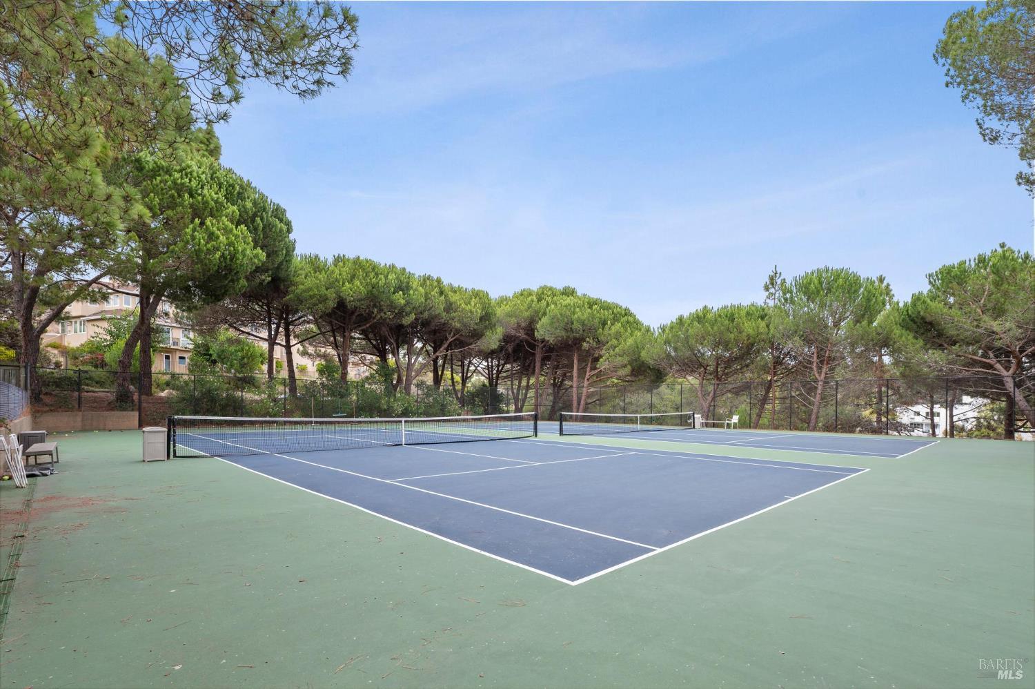 Detail Gallery Image 52 of 54 For 121 Eucalyptus Knoll St, Mill Valley,  CA 94941 - 2 Beds | 2 Baths