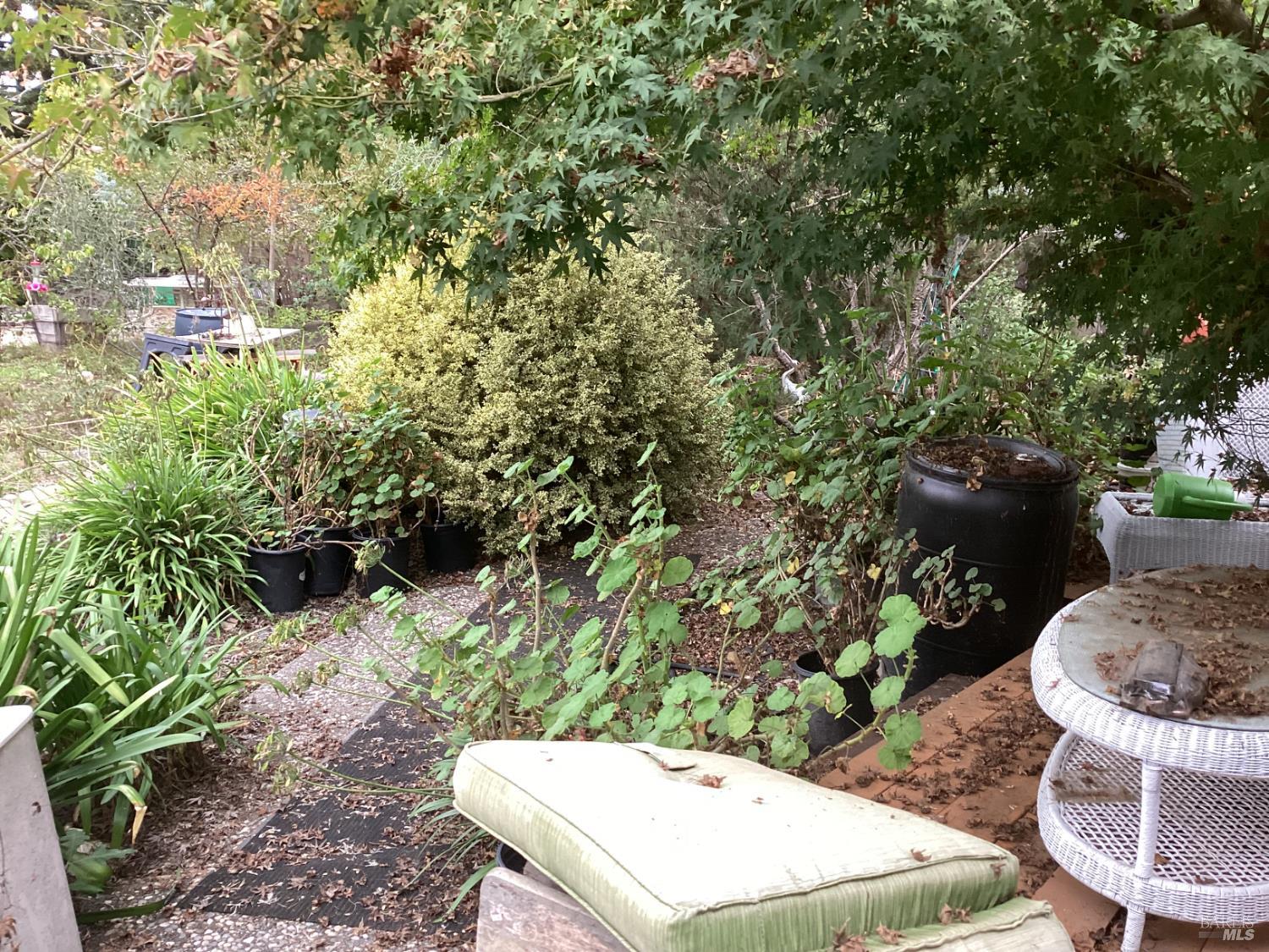 Detail Gallery Image 10 of 22 For 317 Windflower Ct, Windsor,  CA 95492 - 3 Beds | 2 Baths