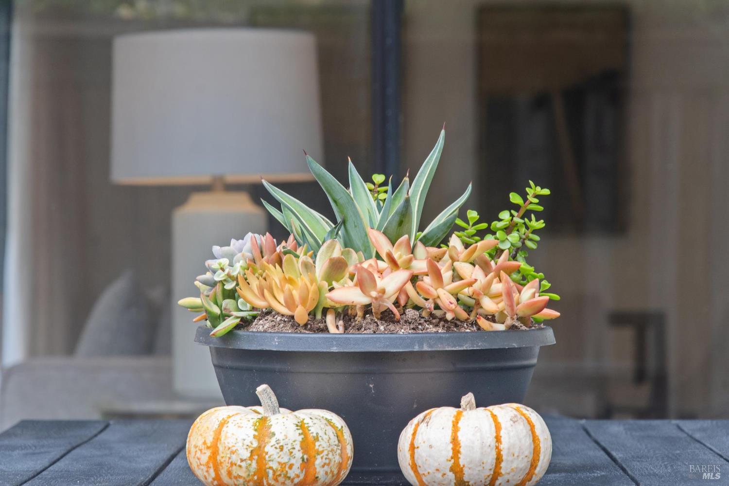 Detail Gallery Image 22 of 54 For 121 Eucalyptus Knoll St, Mill Valley,  CA 94941 - 2 Beds | 2 Baths