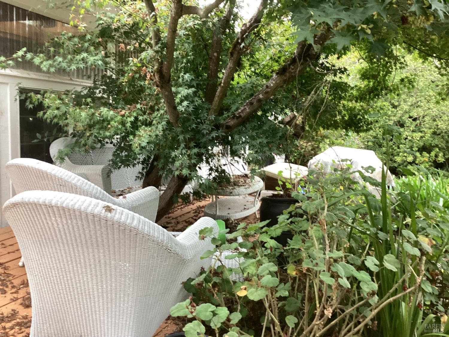 Detail Gallery Image 13 of 22 For 317 Windflower Ct, Windsor,  CA 95492 - 3 Beds | 2 Baths