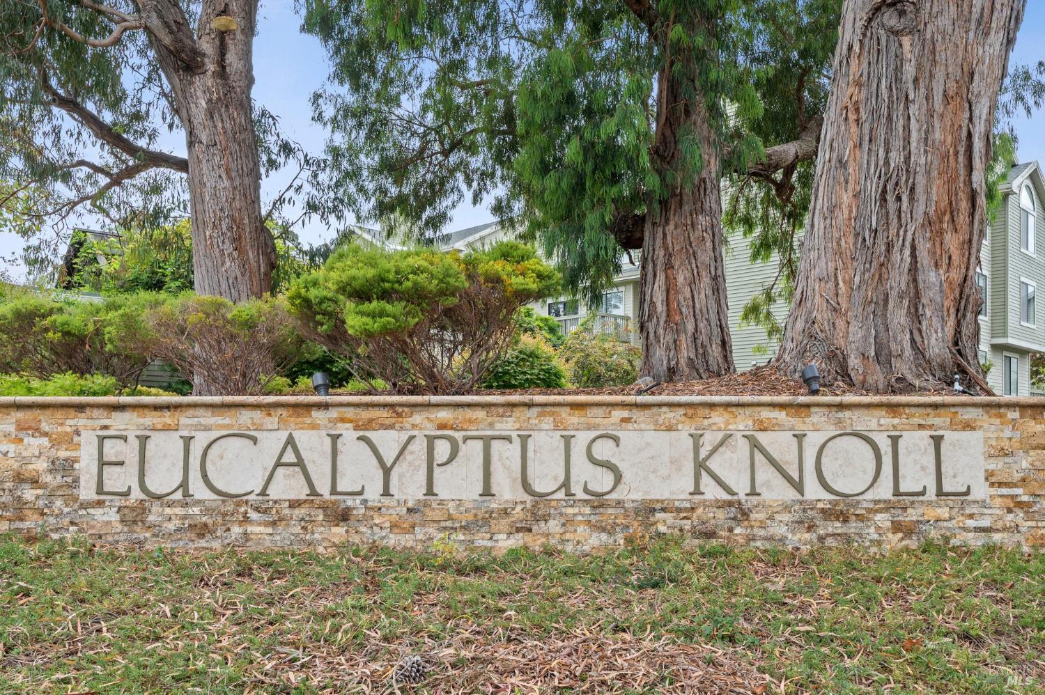 Detail Gallery Image 44 of 54 For 121 Eucalyptus Knoll St, Mill Valley,  CA 94941 - 2 Beds | 2 Baths