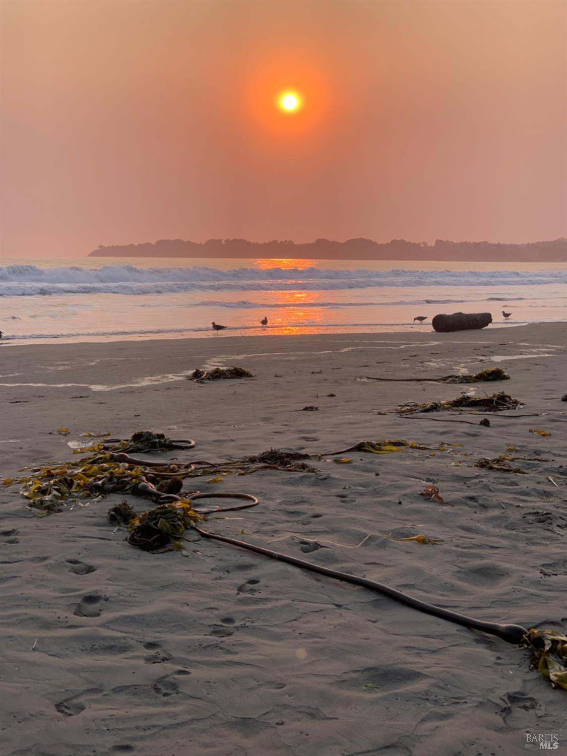 Detail Gallery Image 90 of 98 For 40 Arenal Ave, Stinson Beach,  CA 94970 - 3 Beds | 2 Baths