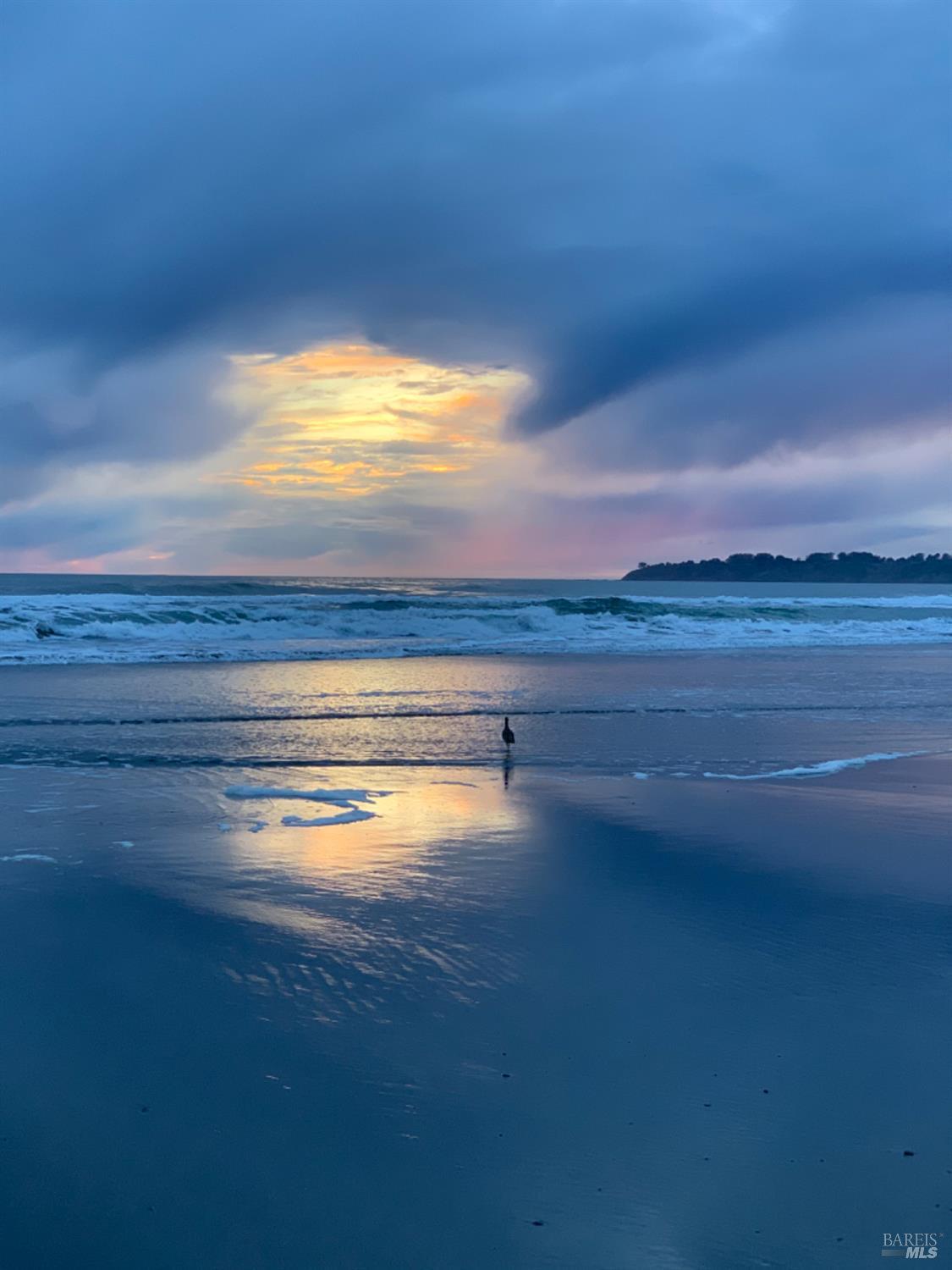 Detail Gallery Image 83 of 98 For 40 Arenal Ave, Stinson Beach,  CA 94970 - 3 Beds | 2 Baths