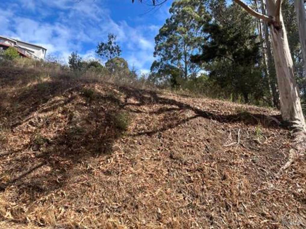 Detail Gallery Image 3 of 6 For 1245 Shoreline Hwy, Mill Valley,  CA 94941 - – Beds | – Baths