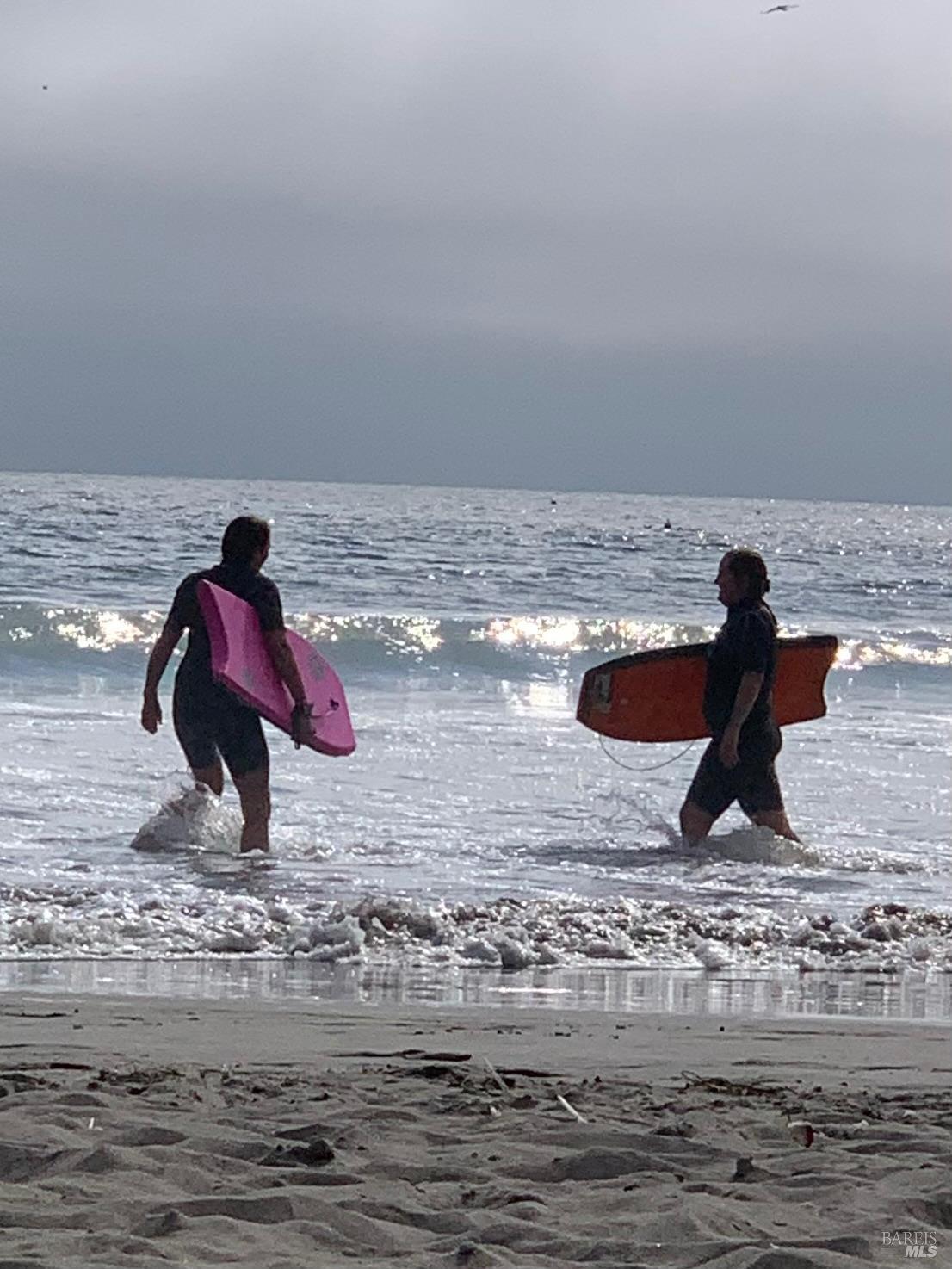 Detail Gallery Image 81 of 98 For 40 Arenal Ave, Stinson Beach,  CA 94970 - 3 Beds | 2 Baths