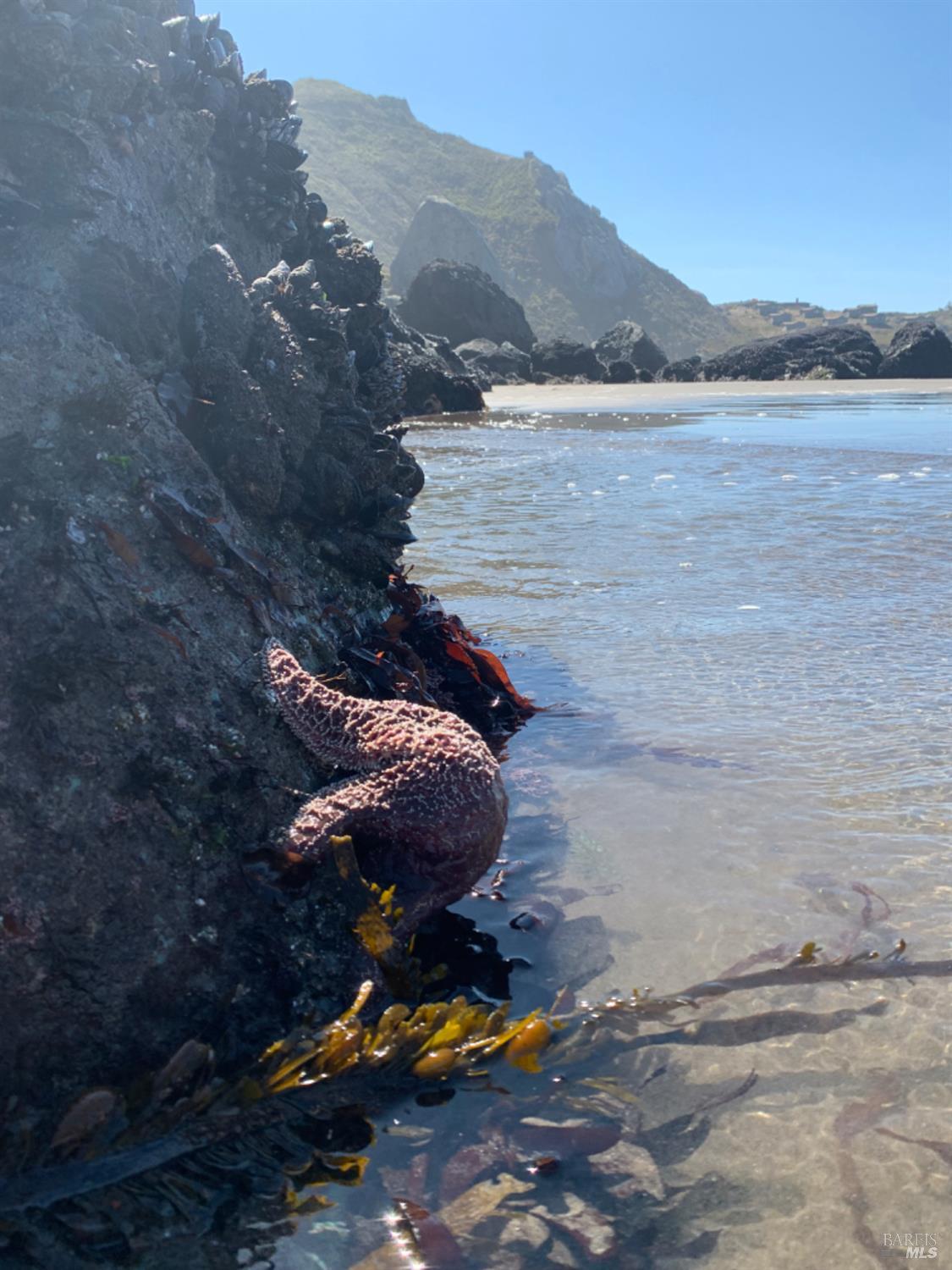 Detail Gallery Image 95 of 98 For 40 Arenal Ave, Stinson Beach,  CA 94970 - 3 Beds | 2 Baths