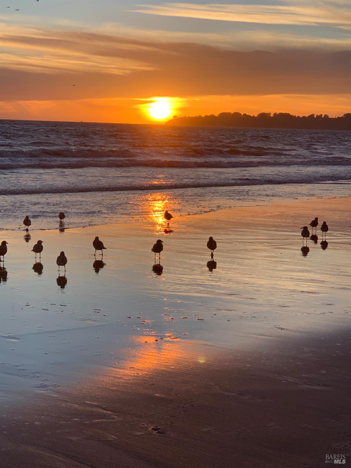 Detail Gallery Image 91 of 98 For 40 Arenal Ave, Stinson Beach,  CA 94970 - 3 Beds | 2 Baths