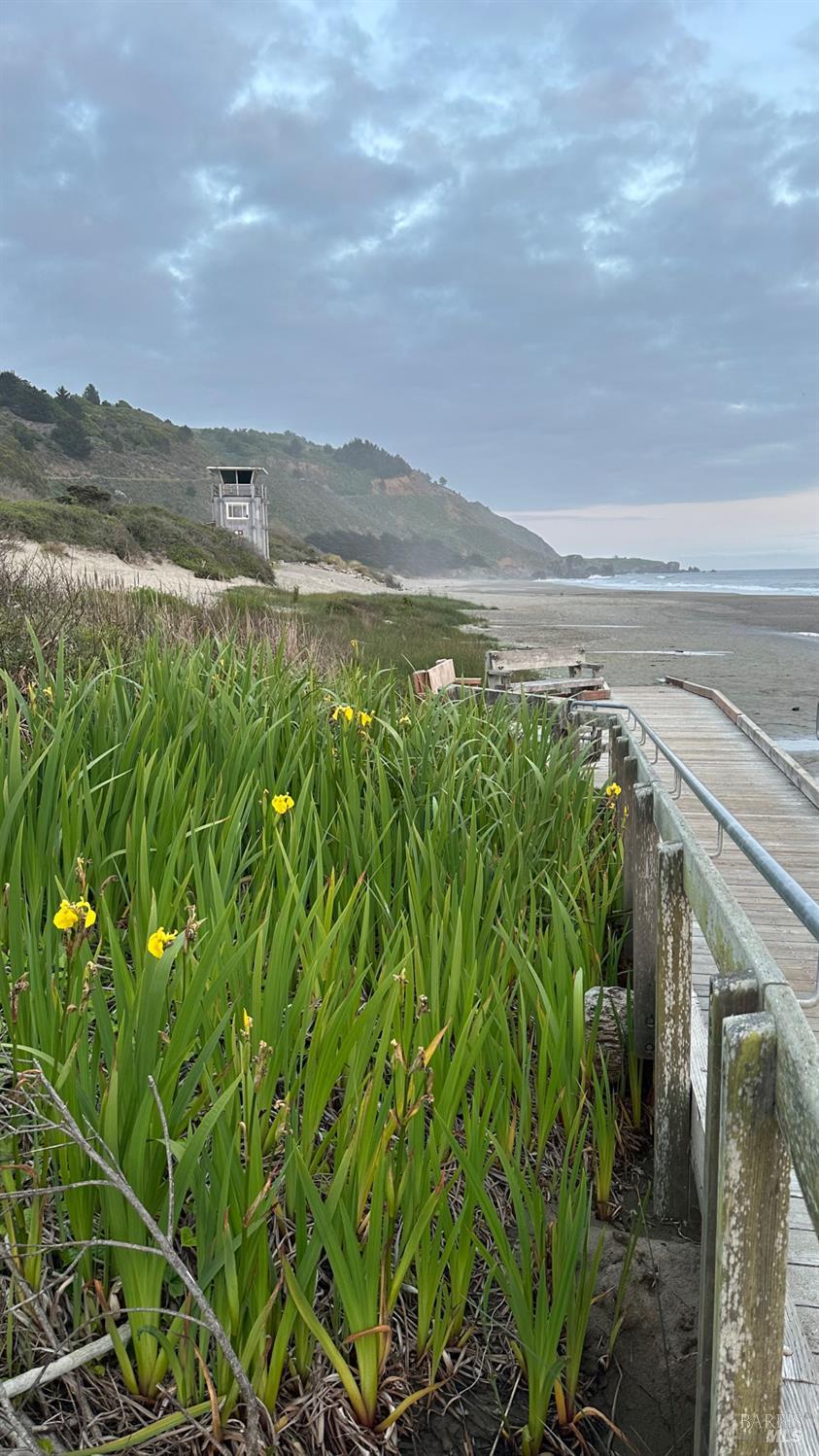 Detail Gallery Image 94 of 98 For 40 Arenal Ave, Stinson Beach,  CA 94970 - 3 Beds | 2 Baths