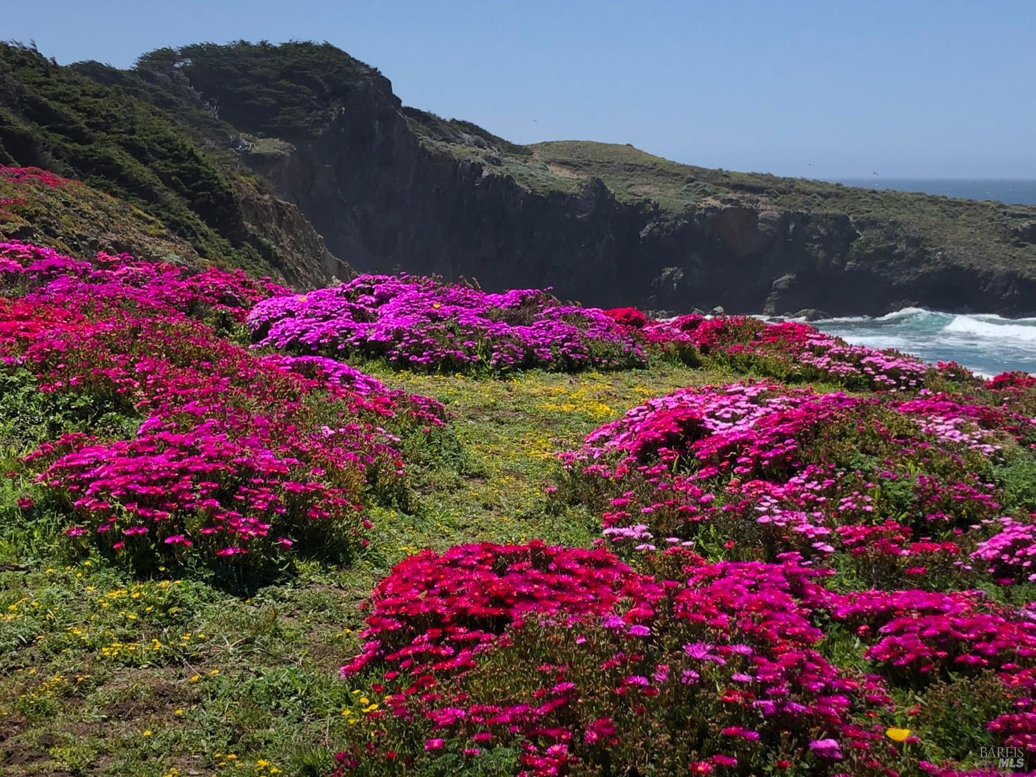 Detail Gallery Image 53 of 60 For 39271 Pacific Reach Rd, The Sea Ranch,  CA 95497 - 2 Beds | 2 Baths