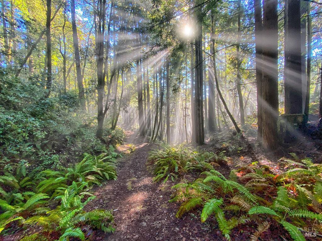 Detail Gallery Image 51 of 60 For 39271 Pacific Reach Rd, The Sea Ranch,  CA 95497 - 2 Beds | 2 Baths