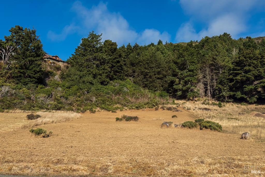 Detail Gallery Image 14 of 22 For 43650 Sea Cypress Dr, Manchester,  CA 95459 - – Beds | – Baths