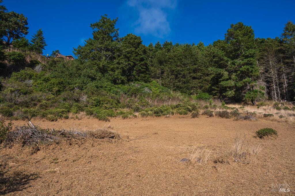 Detail Gallery Image 7 of 22 For 43650 Sea Cypress Dr, Manchester,  CA 95459 - – Beds | – Baths