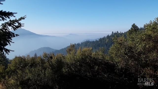 Front Image Thumbnail for BA325085535