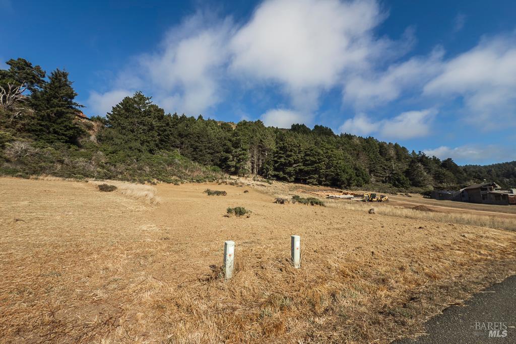 Detail Gallery Image 9 of 22 For 43650 Sea Cypress Dr, Manchester,  CA 95459 - – Beds | – Baths