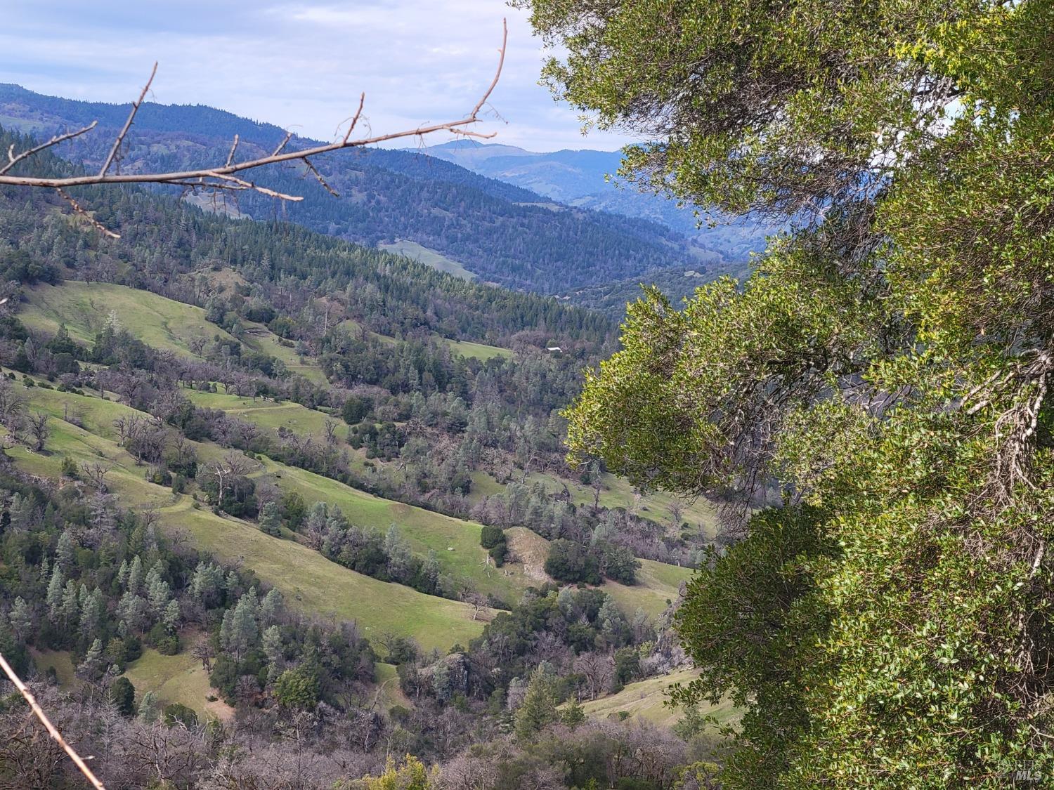 Detail Gallery Image 39 of 50 For 0 Covelo Rd, Willits,  CA 95490 - – Beds | – Baths