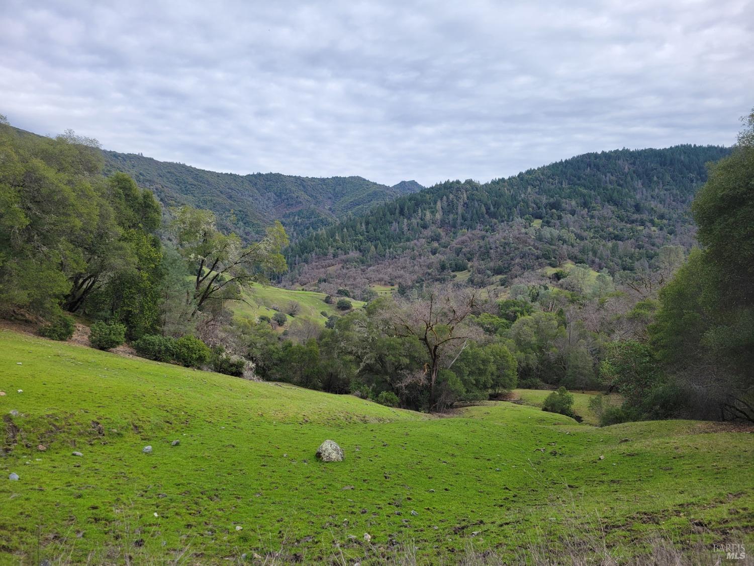 Detail Gallery Image 12 of 50 For 0 Covelo Rd, Willits,  CA 95490 - – Beds | – Baths