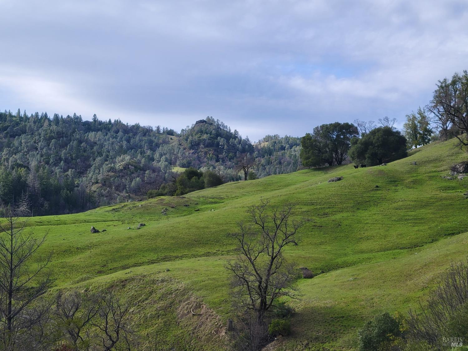 Detail Gallery Image 33 of 50 For 0 Covelo Rd, Willits,  CA 95490 - – Beds | – Baths