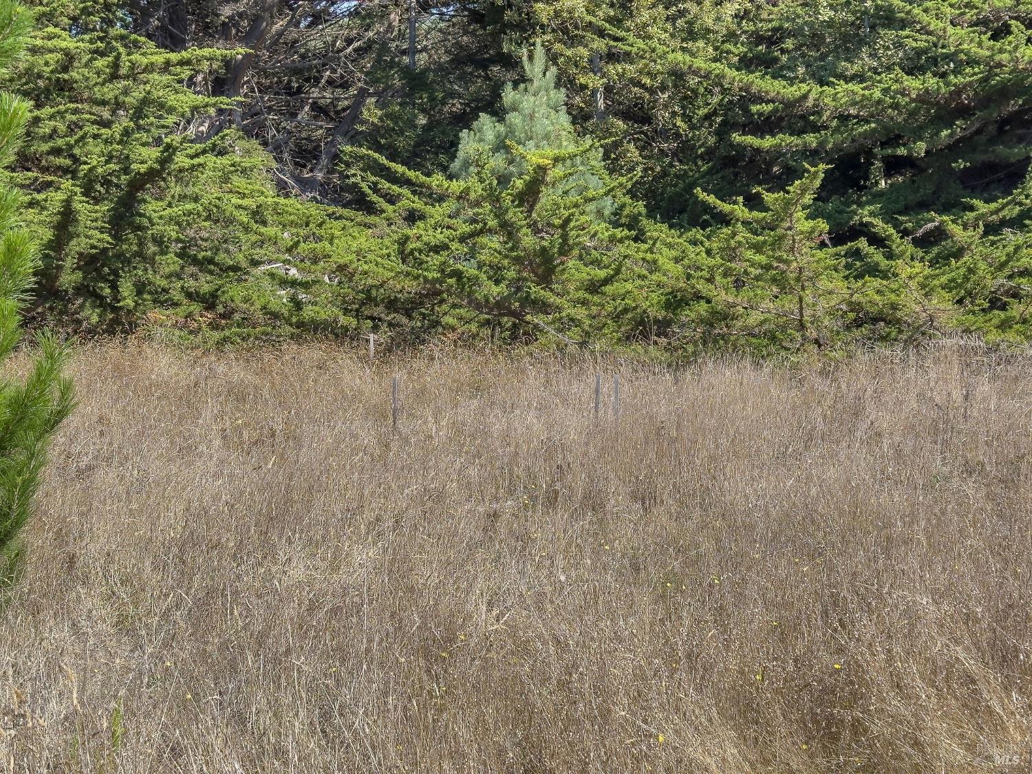 Detail Gallery Image 22 of 35 For 36786 Mariners Dr, The Sea Ranch,  CA 95497 - – Beds | – Baths