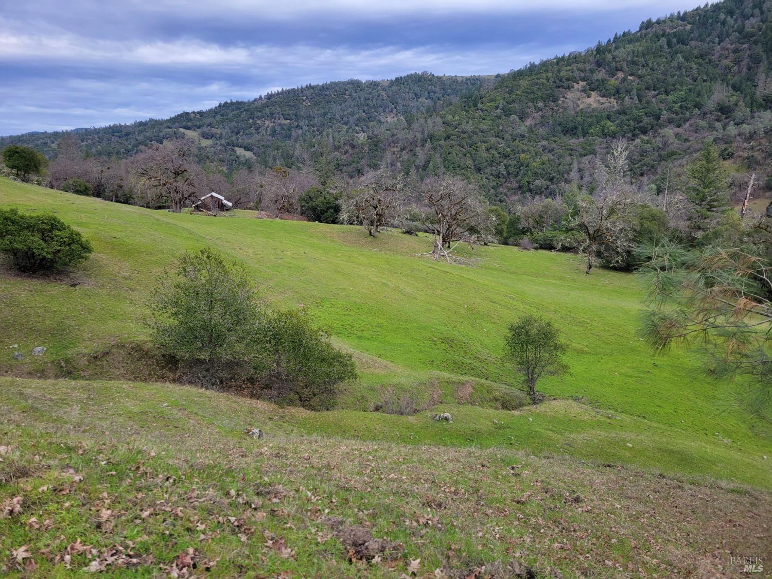 Detail Gallery Image 13 of 50 For 0 Covelo Rd, Willits,  CA 95490 - – Beds | – Baths