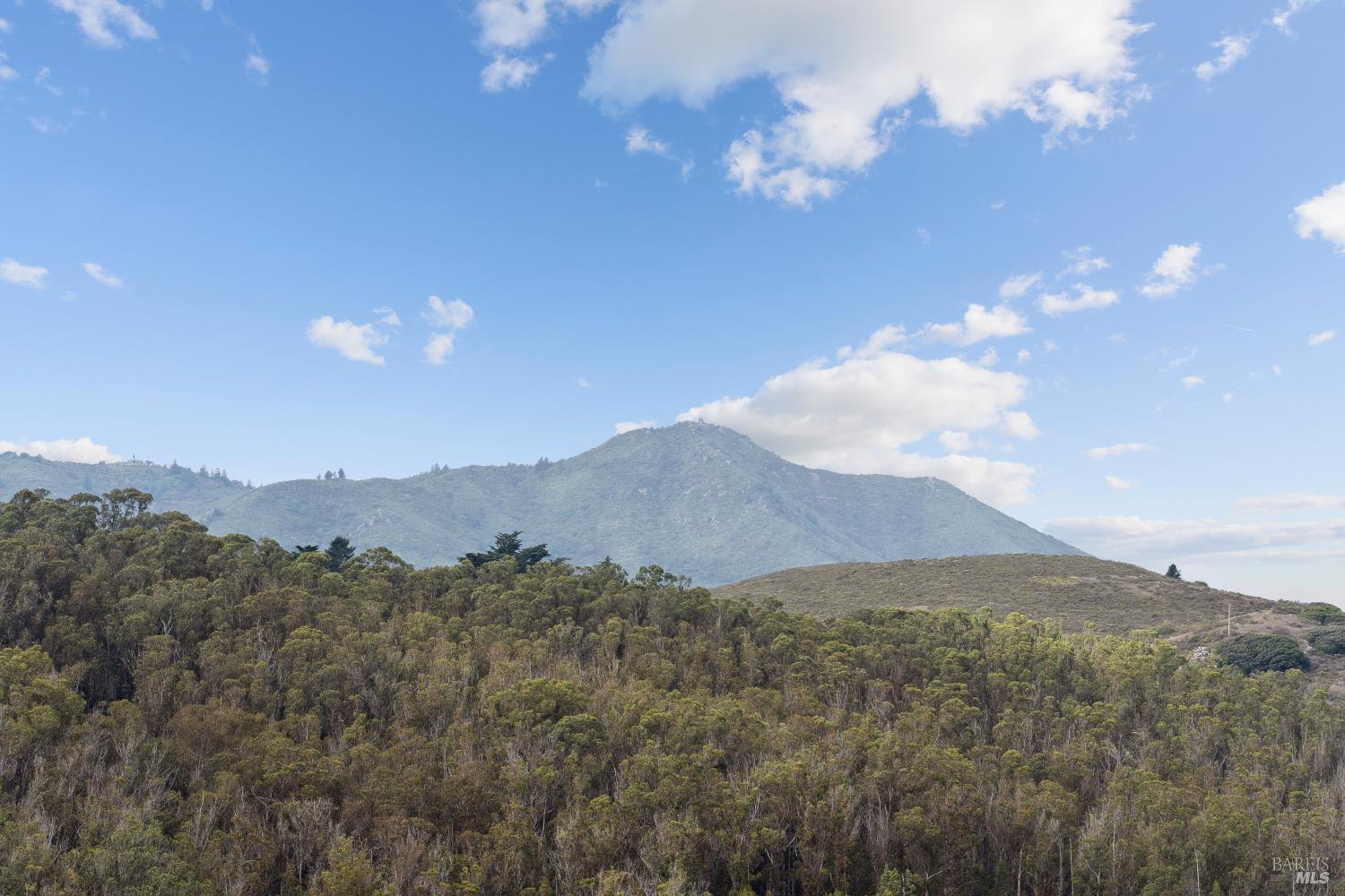Detail Gallery Image 51 of 53 For 815 Autumn Ln, Mill Valley,  CA 94941 - 4 Beds | 2 Baths