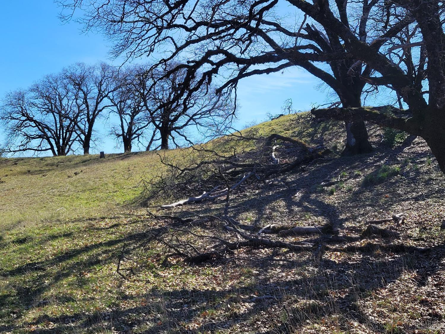 Detail Gallery Image 5 of 50 For 0 Covelo Rd, Willits,  CA 95490 - – Beds | – Baths