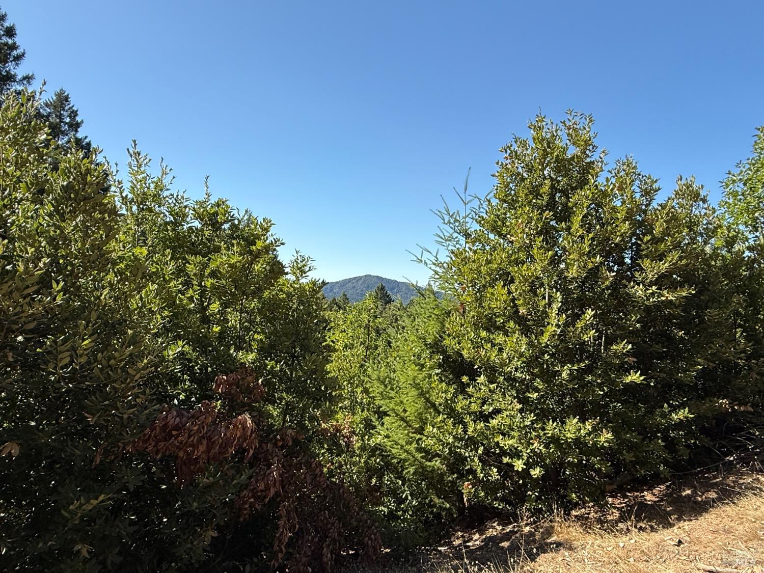 Detail Gallery Image 9 of 14 For 59540 Bell Springs Rd, Laytonville,  CA 95454 - – Beds | – Baths