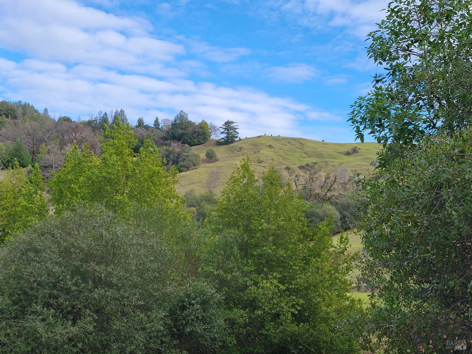 Detail Gallery Image 46 of 50 For 0 Covelo Rd, Willits,  CA 95490 - – Beds | – Baths