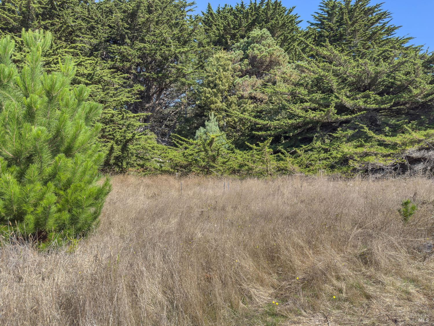 Detail Gallery Image 23 of 35 For 36786 Mariners Dr, The Sea Ranch,  CA 95497 - – Beds | – Baths