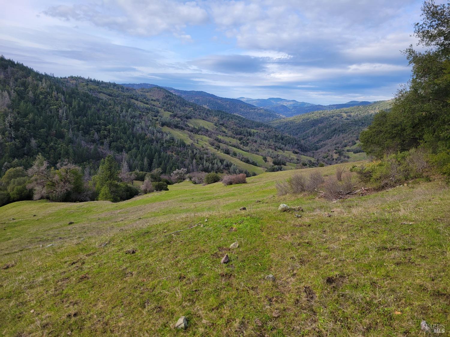 Detail Gallery Image 42 of 50 For 0 Covelo Rd, Willits,  CA 95490 - – Beds | – Baths