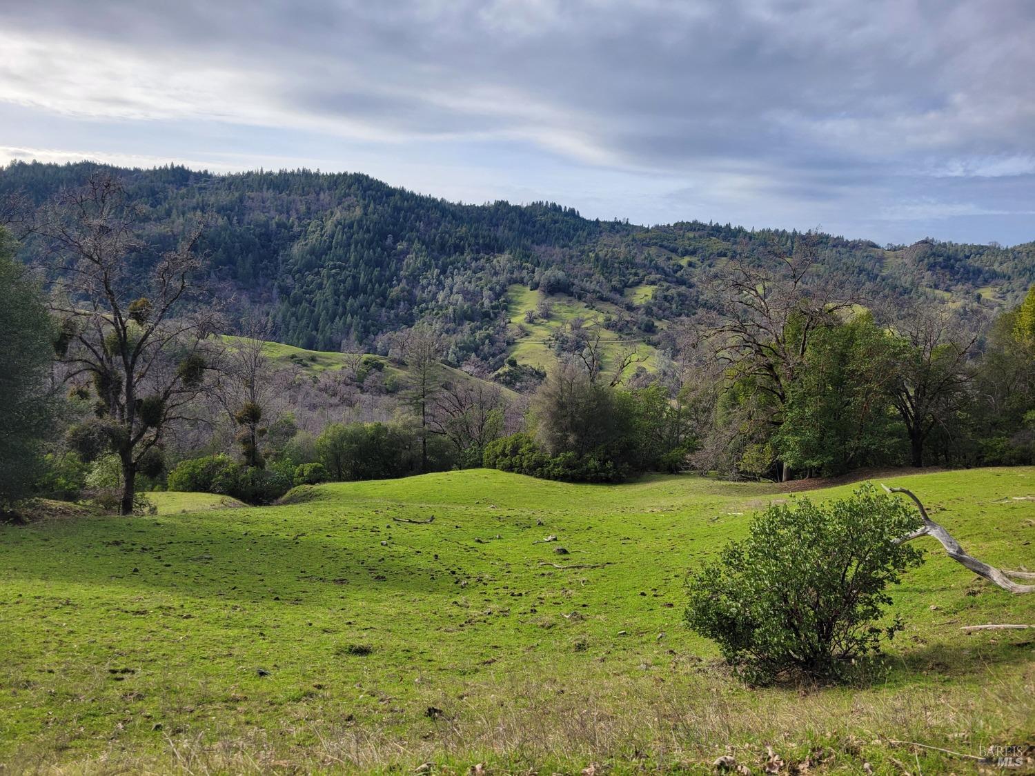 Detail Gallery Image 2 of 50 For 0 Covelo Rd, Willits,  CA 95490 - – Beds | – Baths