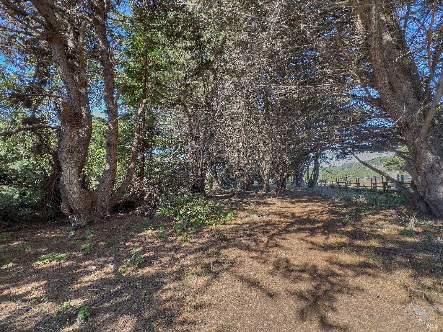 Detail Gallery Image 15 of 35 For 36786 Mariners Dr, The Sea Ranch,  CA 95497 - – Beds | – Baths