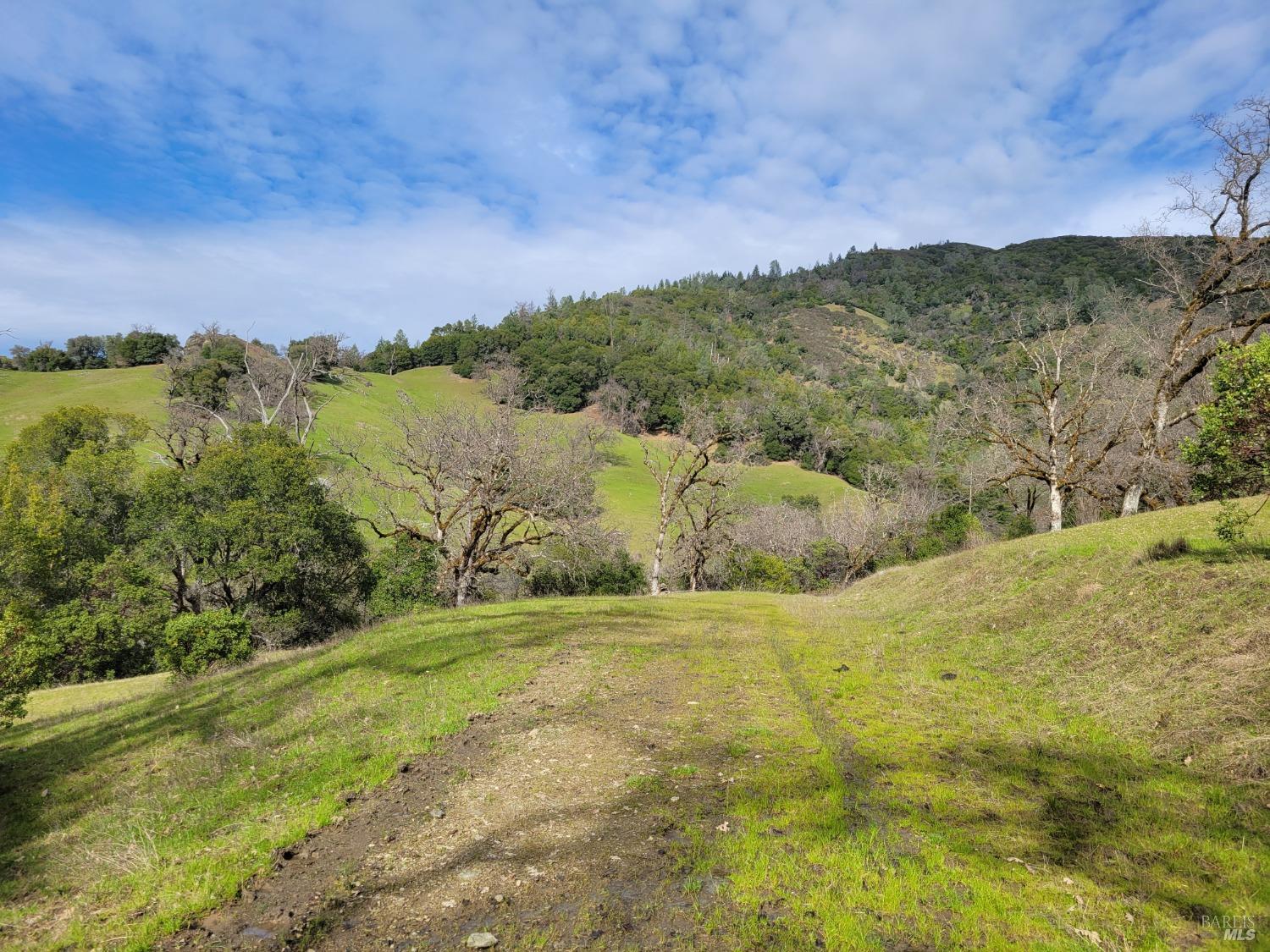 Detail Gallery Image 22 of 50 For 0 Covelo Rd, Willits,  CA 95490 - – Beds | – Baths