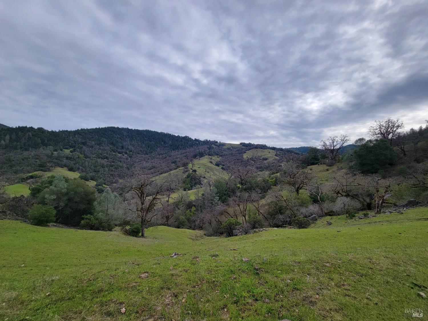 Detail Gallery Image 14 of 50 For 0 Covelo Rd, Willits,  CA 95490 - – Beds | – Baths