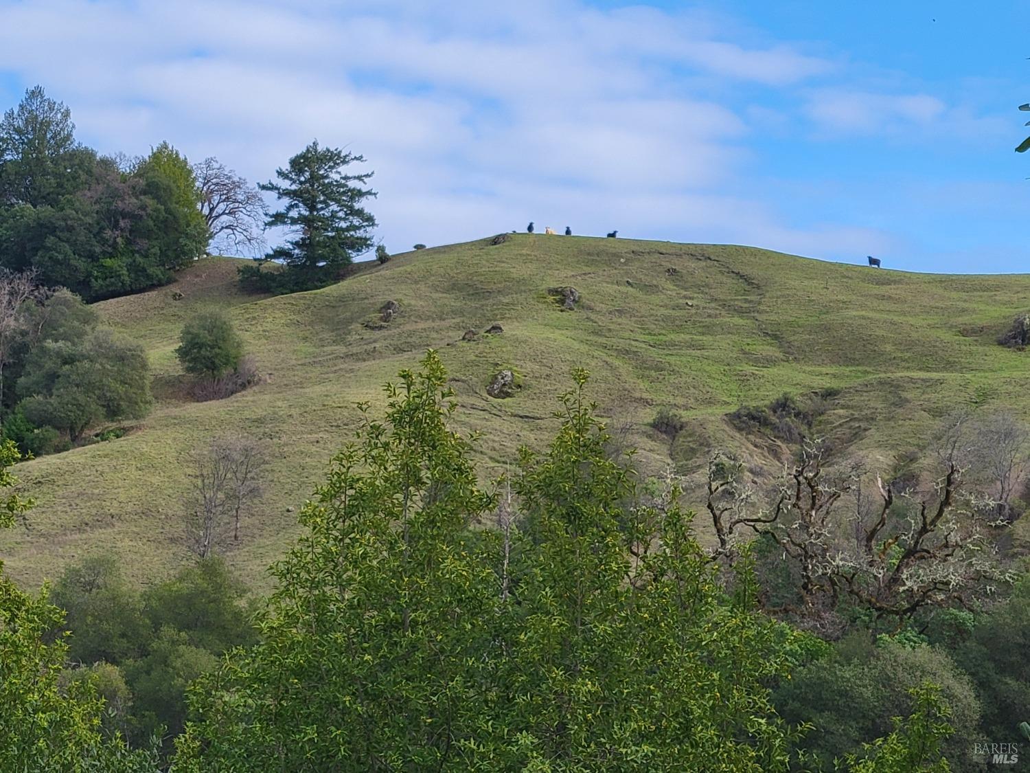 Detail Gallery Image 44 of 50 For 0 Covelo Rd, Willits,  CA 95490 - – Beds | – Baths