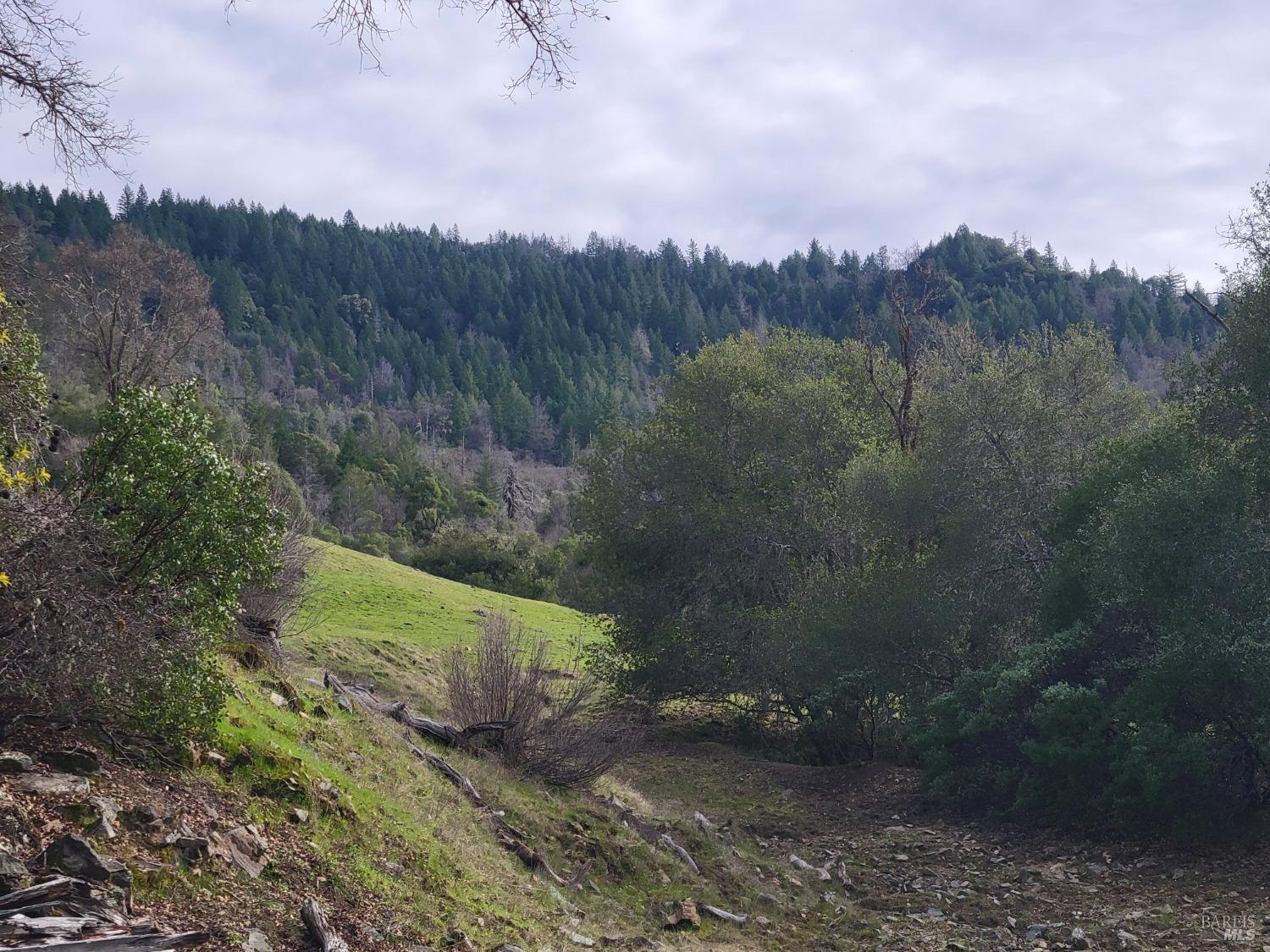 Detail Gallery Image 18 of 50 For 0 Covelo Rd, Willits,  CA 95490 - – Beds | – Baths